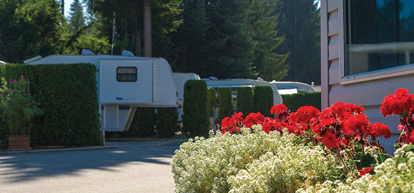 Resort Image